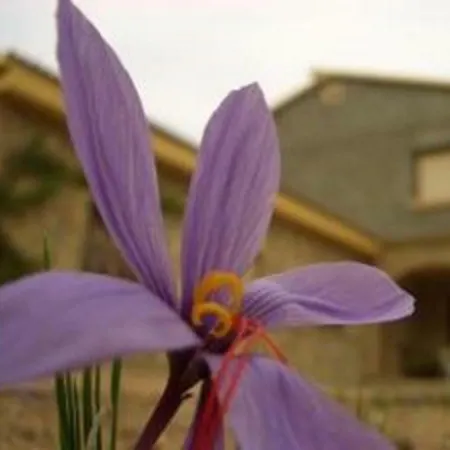 Casilla Del Pinar Dom wakacyjny