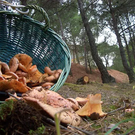 Casilla Del Pinar Semesterbostad