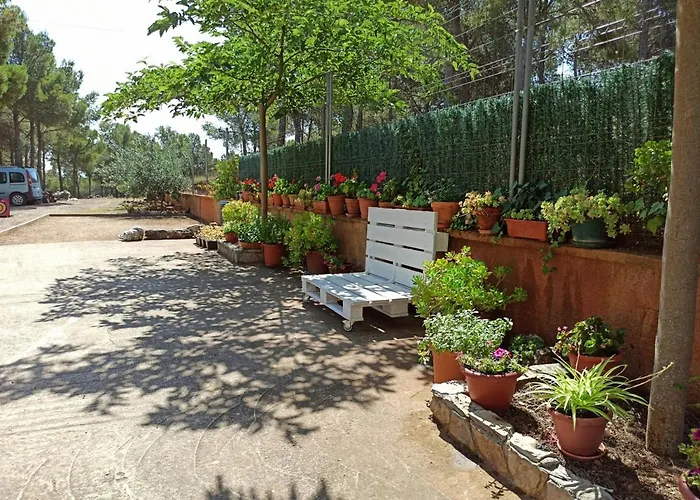 Casilla Del Pinar Daroca