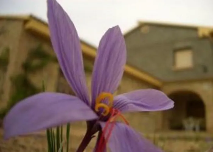 Casilla Del Pinar Сasa de vacaciones