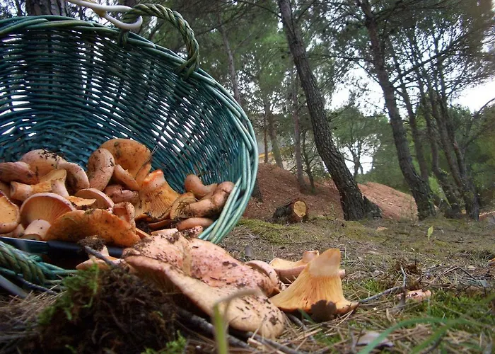 Casilla Del Pinar Сasa de vacaciones